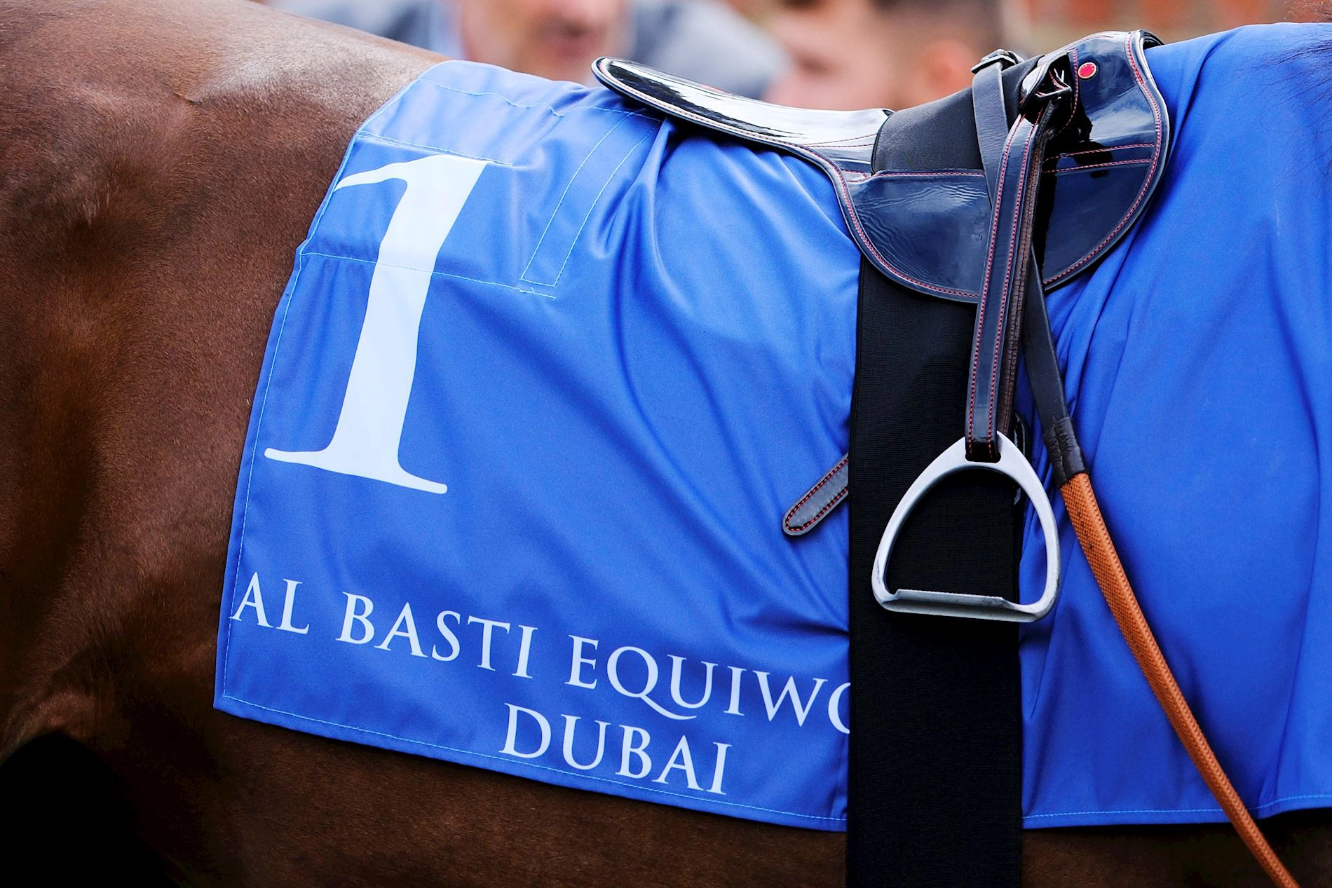 Newmarket blooms with Al Basti Equiworld, Dubai support