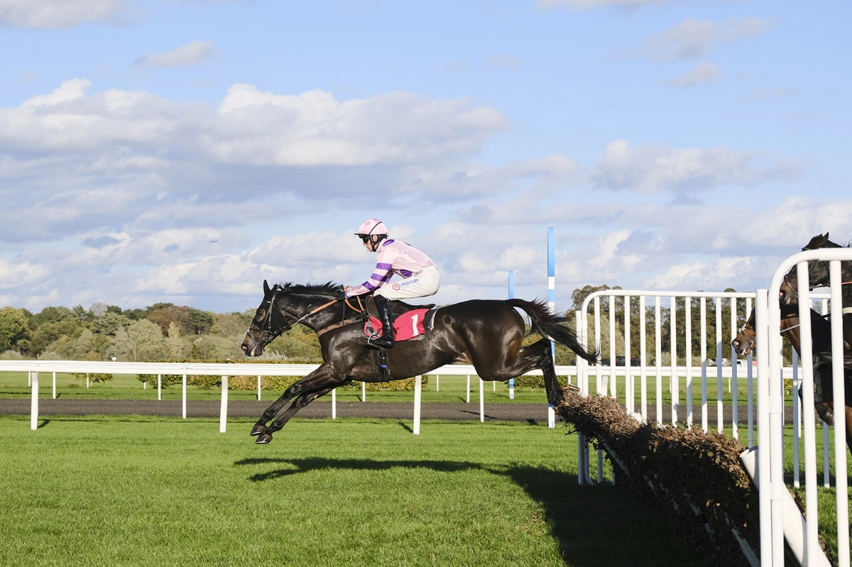 RUBAUD SETS UP CONSTITUTION HILL MEETING WITH SUCCESS IN LISTED FEATURE