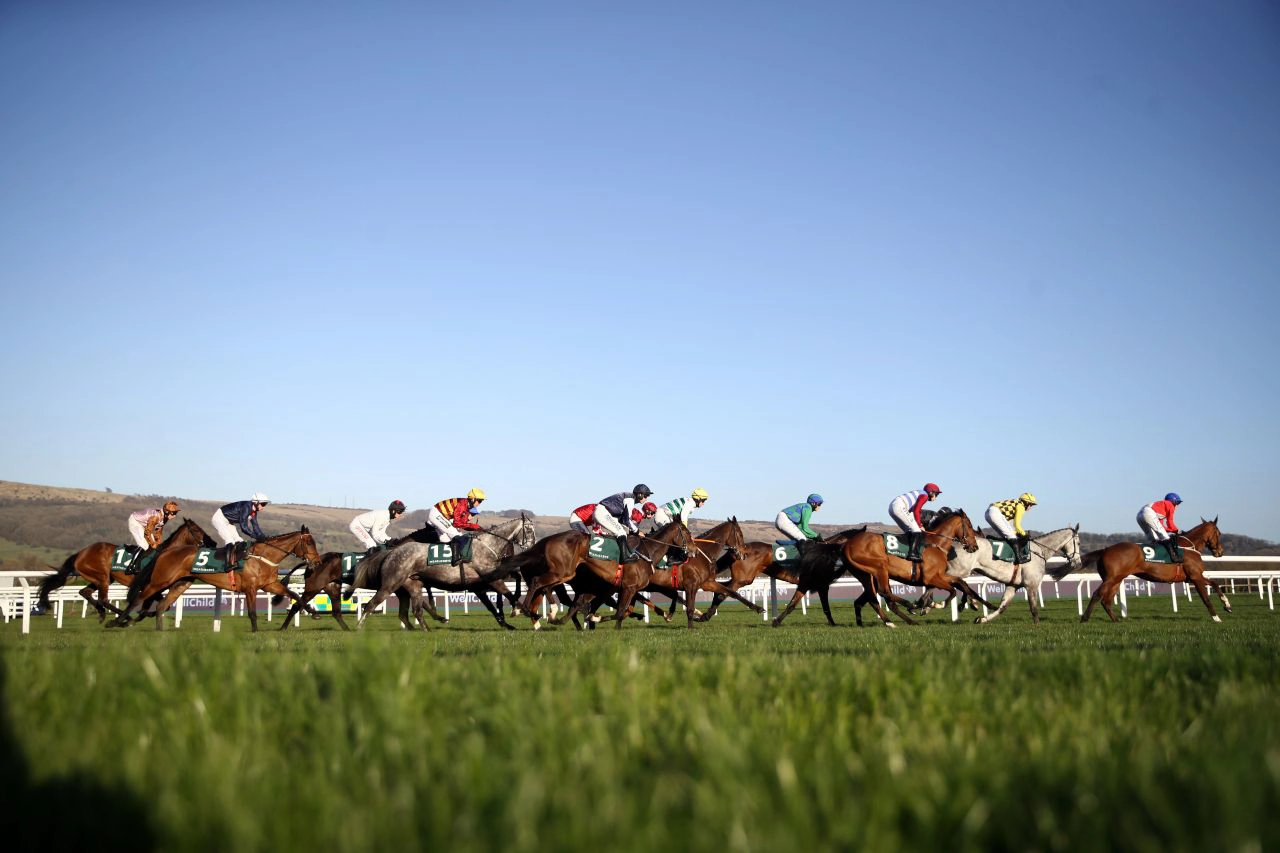 What is a Bumper Race?