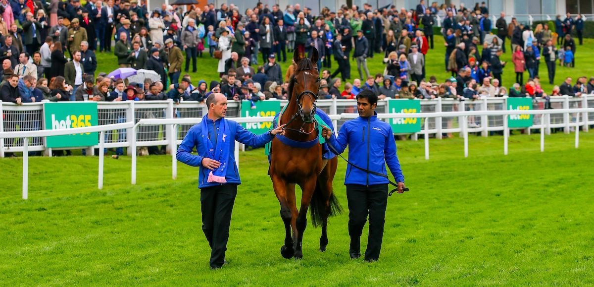 Cue Card: A New Chapter