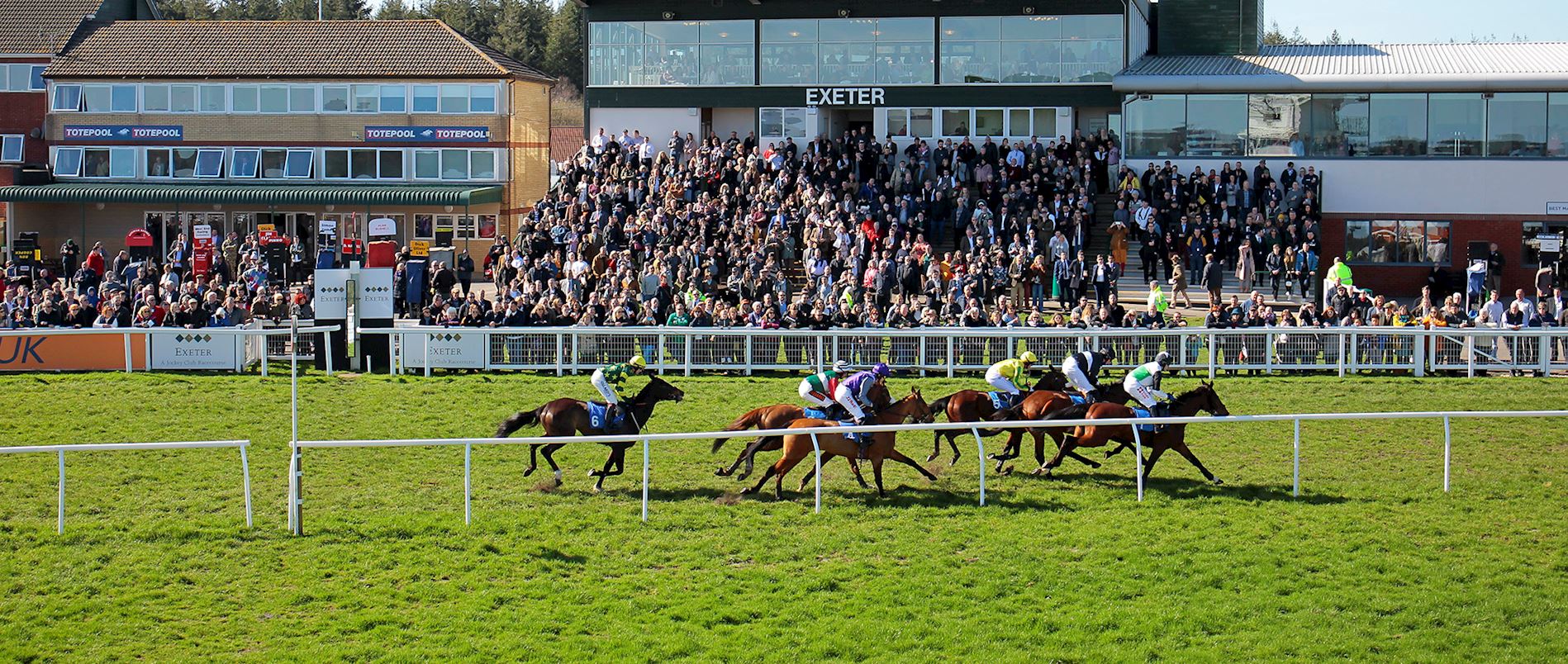 Preview ahead of racing - Sunday 24th November