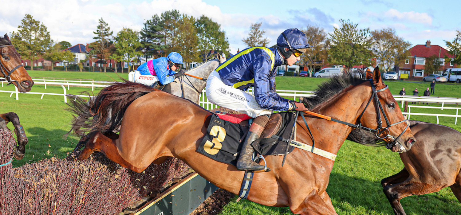 TIZZARD TEAM PONDER OPTIONS