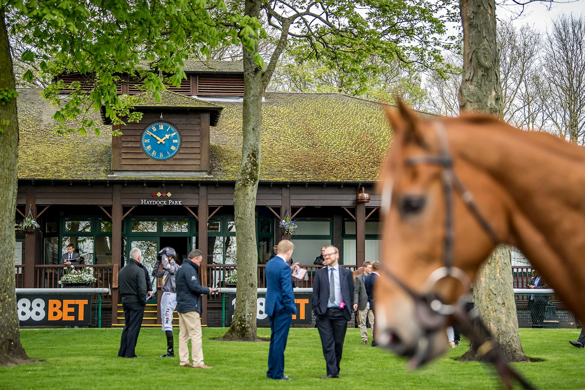 The Jockey Club Media Hub