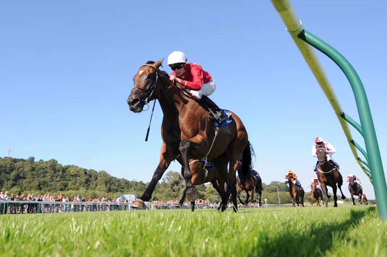 £9 Afternoon Racing 